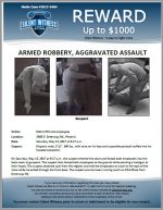 Armed Robbery / Metro PCS 3305 E. Greenway Rd.