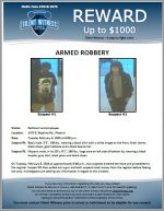 Armed Robbery / PetSmart 2475 E. Baseline Rd