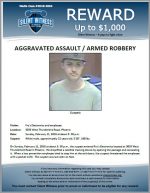 Armed Robbery / Agg. Assault – Fry’s Electronics