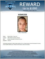 Homicide / Brianna Wells / 1800 E. Mobile Lane – Found in Alley