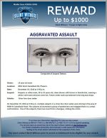 Aggravated Assault / 19 year old male