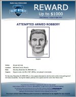 Attempted Armed Robbery / 28 year old male 801 N. 2nd St