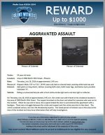 Aggravated Assault / 54 year old male