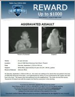 Aggravated Assault / 27 year old male