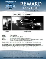 Aggravated Assault / 38 year old female