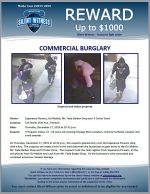 Commercial Burglary / 515 N 35th Ave, Phoenix