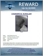 Commercial Burglary / Planet Petopia 9235 N. 13th Ave, Phoenix