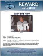 Credit Card Theft / 5715 North 19th Ave, Phoenix (Target)