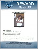 Credit Card Theft / 5715 N. 19th Ave., Phoenix (Target Store)