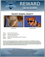 Animal Cruelty / 10200 West Hess Street, Phoenix