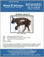 Animal Cruelty / Between 2200 – 2300 West Thomas Road on the north side of the street