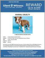 Animal Cruelty / Area of North 27th Ave and West Belmont Ave