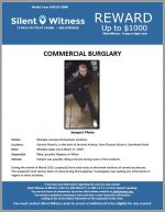 Commercial Burglaries / Central Phoenix, In the area of Seventh Avenue, from Thomas Road to Camelback Road