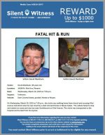Fatal Hit and Run / 14200 N. 43rd Ave, Phoenix