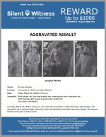 Aggravated Assault / In the area of 1 North 1st street, Phoenix