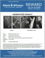 Aggravated Assault / Multiple victims / 4270 W. Thomas Rd.