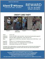 Credit Card Theft / Target Store / 1600 E. Camelback Road