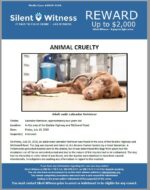 Animal Cruelty / In the area of the Beeline Highway and McDowell Road