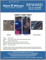 Credit Card Theft / Gym in the area of 300 E. Bell Road and multiple retail locations