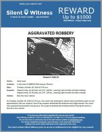 Aggravated Robbery / In the area of 10000 N. 19th Avenue, Phoenix