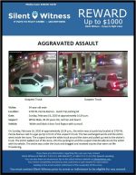 Aggravated Assault / 34 year old male / 2700 W. Peoria Avenue