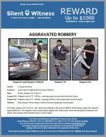 Aggravated Robbery / 17 year old male / In the area of 1000 N 43rd Avenue, Phoenix