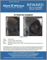 Attempted Robbery / 16 year old male / In the area of 100 E. Willetta, Phoenix