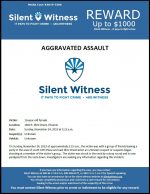 Aggravated Assault / 16 year old female /1600 E. Illini Street