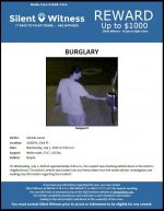 Burglary from vehicle / Area of 19400 N. 23rd Place, Phoenix