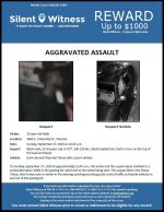 Aggravated Assault / 22-year-old male 3845 E. University Dr.