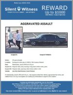 Aggravated Assault / 54 year old male / Parking lot in the area of 1500 N. 75th Avenue, Phoenix