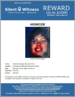 Homicide / Timothy Begay / In the area of 2800 West Palm Lane, Phoenix