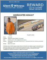 Aggravated Assault / Adult Male / Parking lot in area of 3900 N. 33rd Avenue