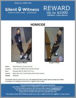 Homicide / Noah Martinez / In the area of 2600 N. 43rd Avenue, Phoenix