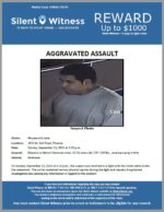 Aggravated Assault / Adult Male / 3470 W. Bell Road