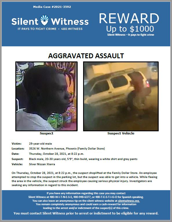 Aggravated Assault / 3526 W. Northern Avenue, Phoenix (Family Dollar Store)