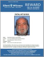 Fatal Hit and Run / David Robert Sholeff / In the area of 1900 West Broadway Road, Phoenix