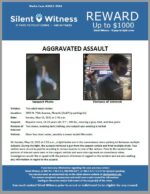 Aggravated Assault / Two male victims / 3855 N. 75th Avenue, Phoenix (QuikTrip parking lot)