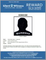 Homicide / Yener Gomez Lopez / In the area of 3100 E. Aire Libre Avenue