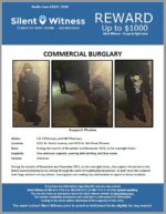 Commercial Burglary / S & G Pharmacy and MG Pharmacy / 3201 W. Peoria Avenue, and 4025 W. Bell Road, Phoenix