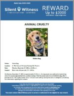 Animal Cruelty / Dog / South 79th Ave and W. Lower Buckeye Road