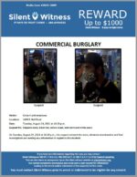 Commercial Burglary / Circle K / 1605 E. Bell Road