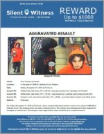 Aggravated Assault / 15 year old males / In the area of 1600 W. Sahuaro Drive, Phoenix