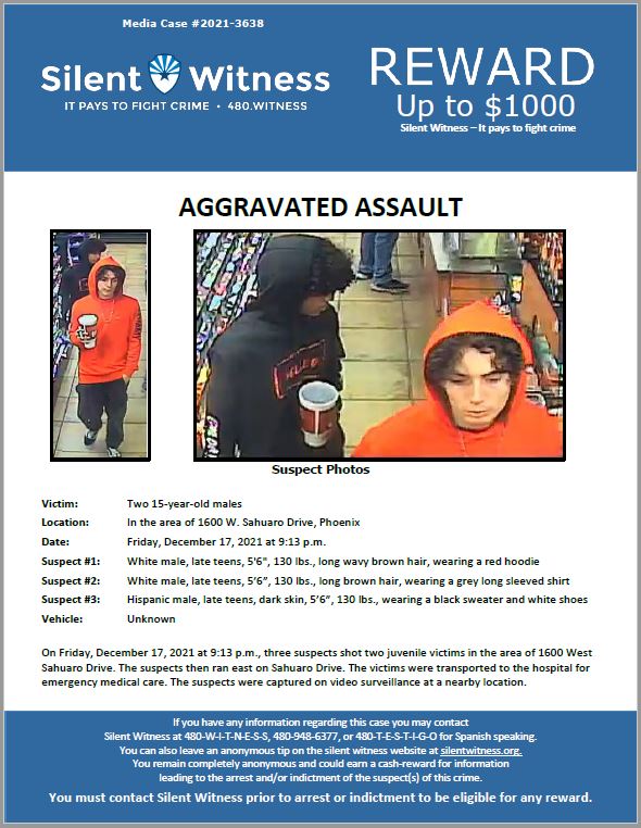 Aggravated Assault / 15 year old males / In the area of 1600 W. Sahuaro Drive, Phoenix
