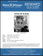 Fatal Hit & Run / Angela Milligan / 3100 W. Northern Ave., Phoenix