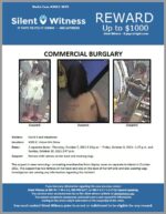 Commercial Burglary / Circle K / 4005 E. Union Hills Drive