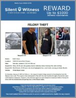 Felony Theft / Kohls Store / 21001 N Tatum Blvd, Phoenix