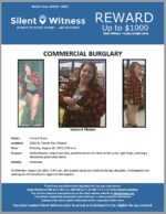 Commercial Burglary / Circle K / 3502 W. Peoria Ave, Phoenix