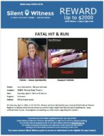 Fatal Hit & Run / Jesus Quintanilla / 3200 E. Thomas Rd., Phoenix