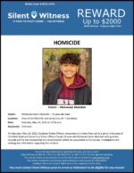 Homicide/ Mohamed Salim Abdullah / Area of Litchfield Road and Santa Cruz Drive, Goodyear